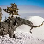 Chamonix 100