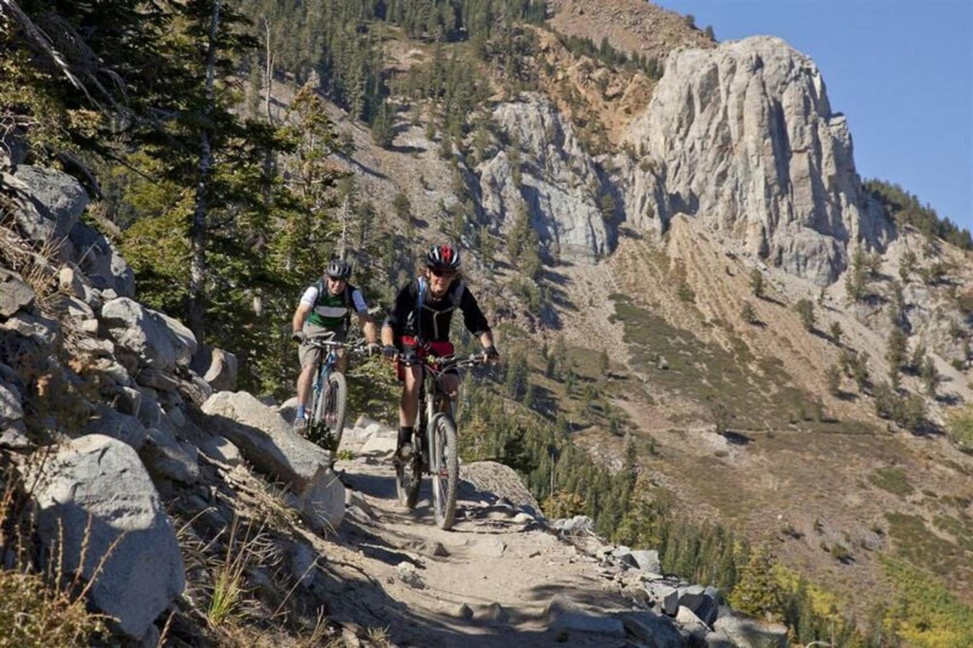 Chamonix 100