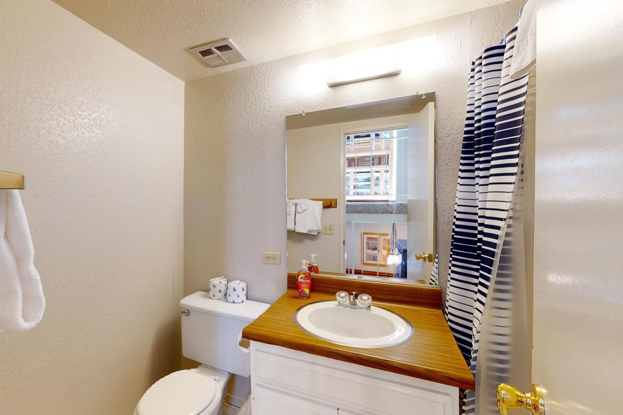 Chamonix 100 Appartement